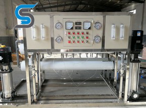Electrophoresis reverse osmosis water purifier